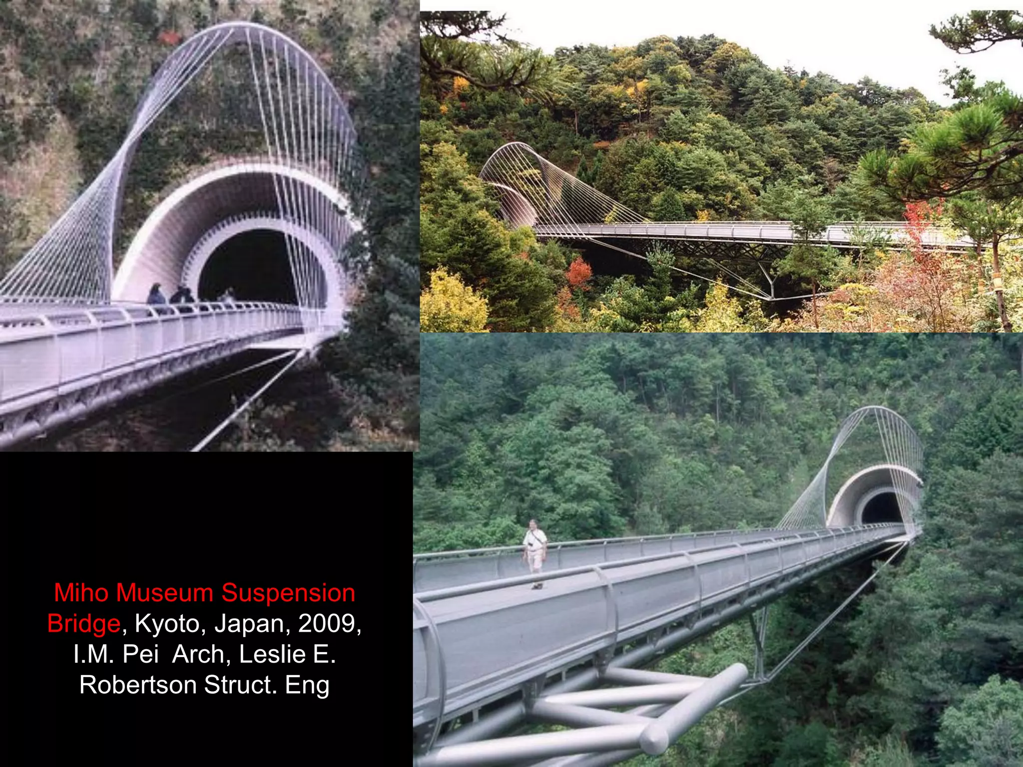 Living Bridge, Limerick University , Ireland,
2007, Wilkinson Eyre Arch
 