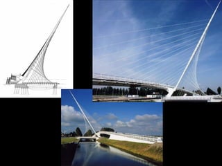 Alamillo Bridge,
Sevilla, Spain,1992,
Santiago Calatrava
 