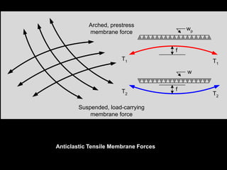 Edge supports for cable nets
 