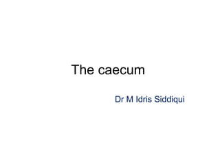 The caecum
Dr M Idris Siddiqui
 