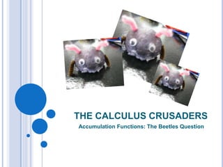 THE CALCULUS CRUSADERS
Accumulation Functions: The Beetles Question
 
