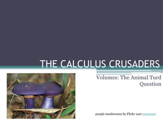 THE CALCULUS CRUSADERS
          Volumes: The Animal Turd
                          Question




          purple mushrooms by Flickr user yewenyi
 