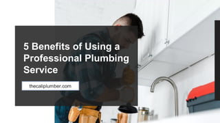 5 Benefits of Using a
Professional Plumbing
Service
thecaliplumber.com
 