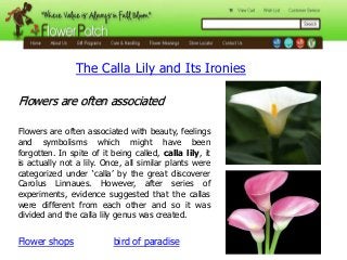 The Calla Lily and Its Ironies
Flowers are often associated
Flowers are often associated with beauty, feelings
and symbolisms which might have been
forgotten. In spite of it being called, calla lily, it
is actually not a lily. Once, all similar plants were
categorized under ‘calla’ by the great discoverer
Carolus Linnaues. However, after series of
experiments, evidence suggested that the callas
were different from each other and so it was
divided and the calla lily genus was created.

Flower shops

bird of paradise

 