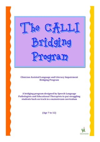 The calli bridging programme