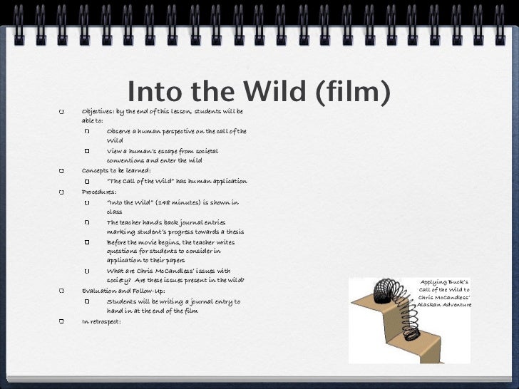 into the wild book review essay