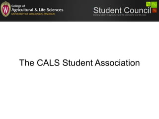 The CALS Student Association
 