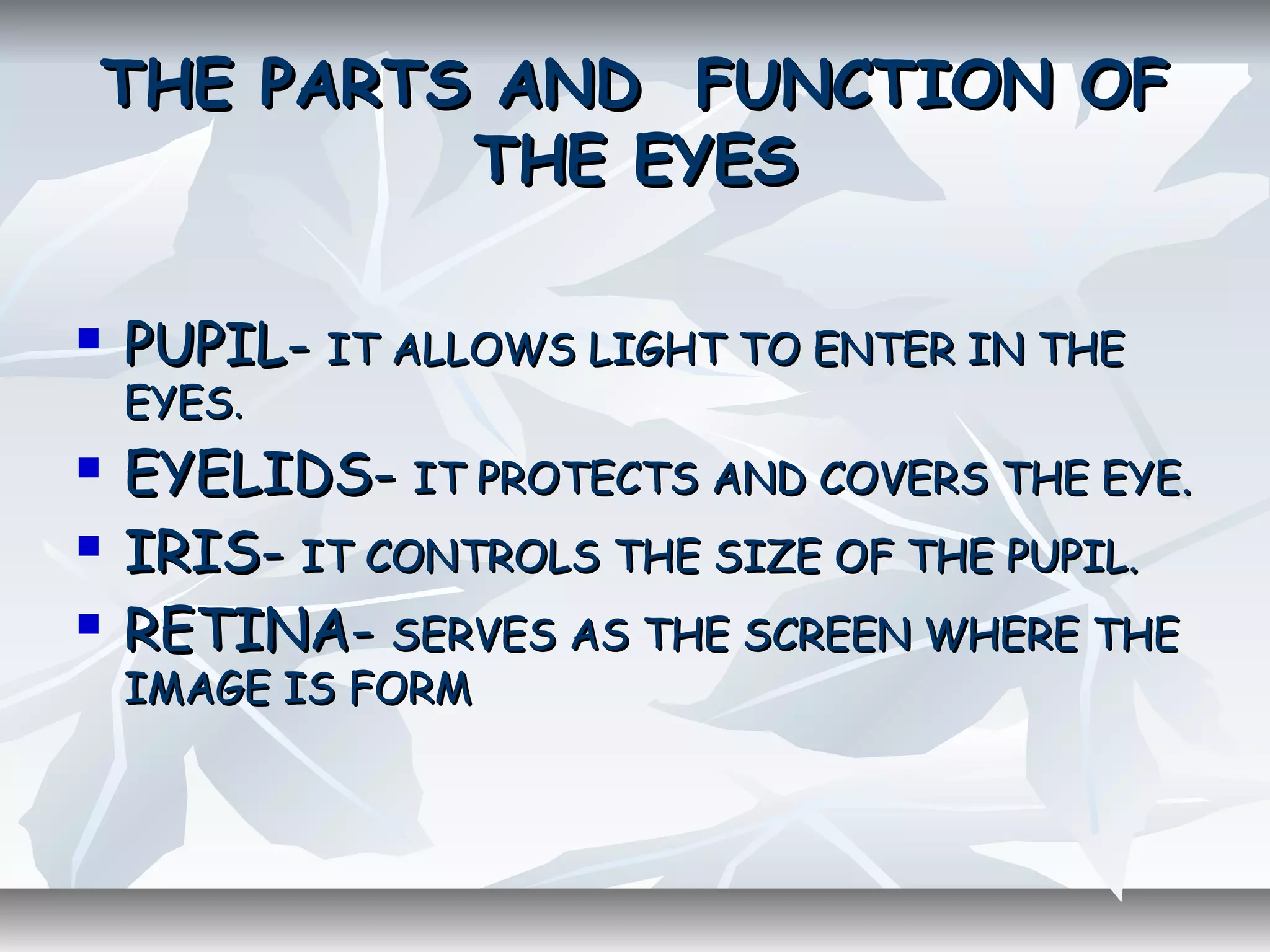 The Camera and the Eye | PPT
