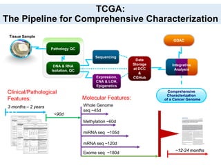 TCGA:
The Pipeline for Comprehensive Characterization
Tissue Sample
Pathology QC
DNA & RNA
Isolation, QC
Sequencing
Expres...