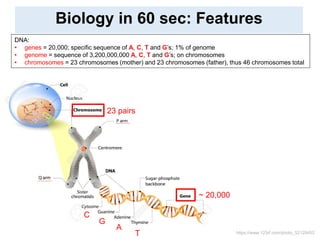 https://www.123rf.com/photo_52129452
C
G
A
T
DNA:
• genes = 20,000; specific sequence of A, C, T and G’s; 1% of genome
• g...