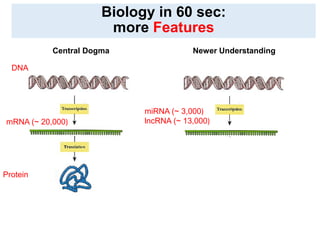 Biology in 60 sec:
more Features
Central Dogma Newer Understanding
mRNA (~ 20,000)
miRNA (~ 3,000)
lncRNA (~ 13,000)
DNA
P...