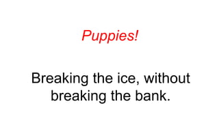 Puppies!
Breaking the ice, without
breaking the bank.
 