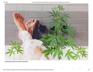 10/17/2020 The Cannabis Emergency Bath Recipe for Dealing with Bugs and Mold When Cropping Out
https://cannabis.net/blog/how-to/the-cannabis-emergency-bath-recipe-for-dealing-with-bugs-and-mold-when-cropping-out 2/14
CANNABIS BATH FOR BUGS AND MOLD
h bi h i f
 