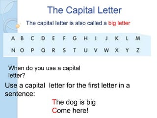 The Capital Letter
       The capital letter is also called a big letter




 When do you use a capital
 letter?
Use a capital letter for the first letter in a
sentence:
               The dog is big
               Come here!
 