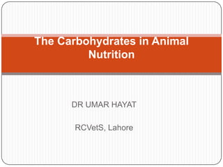The Carbohydrates in Animal
Nutrition

DR UMAR HAYAT
RCVetS, Lahore

 