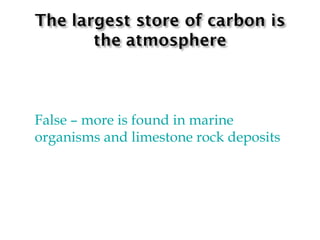 False  –  more is found in marine organisms and limestone rock deposits 