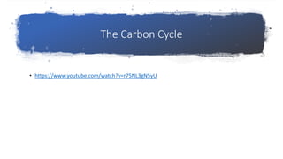 The Carbon Cycle
• https://www.youtube.com/watch?v=r75NL3gN5yU
 
