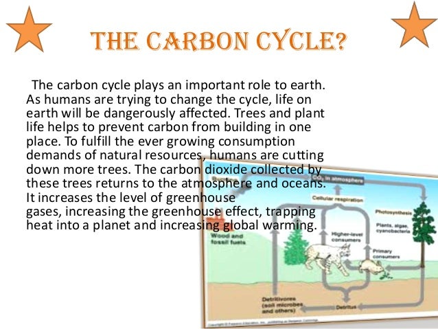 Why Is Natural Gas Important To Humans Why Is Natural Gas Important To Humans