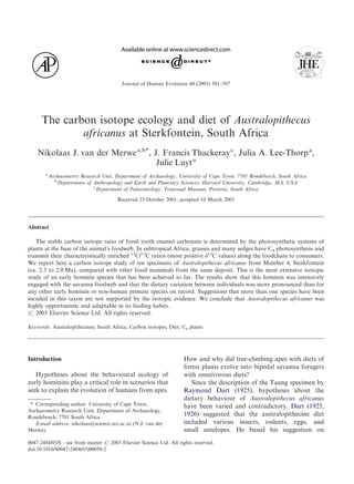 Journal of Human Evolution 44 (2003) 581–597




      The carbon isotope ecology and diet of Australopithecus
              africanus at Sterkfontein, South Africa
    Nikolaas J. van der Merwe a,b*, J. Francis Thackeray c, Julia A. Lee-Thorp a,
                                     Julie Luyt a
       a
           Archaeometry Research Unit, Department of Archaeology, University of Cape Town, 7701 Rondebosch, South Africa
             b
               Departments of Anthropology and Earth and Planetary Sciences, Harvard University, Cambridge, MA, USA
                              c
                                Department of Palaeontology, Transvaal Museum, Pretoria, South Africa

                                        Received 23 October 2001; accepted 10 March 2003




Abstract

   The stable carbon isotope ratio of fossil tooth enamel carbonate is determined by the photosynthetic systems of
plants at the base of the animal’s foodweb. In subtropical Africa, grasses and many sedges have C4 photosynthesis and
transmit their characteristically enriched 13C/12C ratios (more positive 13C values) along the foodchain to consumers.
We report here a carbon isotope study of ten specimens of Australopithecus africanus from Member 4, Sterkfontein
(ca. 2.5 to 2.0 Ma), compared with other fossil mammals from the same deposit. This is the most extensive isotopic
study of an early hominin species that has been achieved so far. The results show that this hominin was intensively
engaged with the savanna foodweb and that the dietary variation between individuals was more pronounced than for
any other early hominin or non-human primate species on record. Suggestions that more than one species have been
incuded in this taxon are not supported by the isotopic evidence. We conclude that Australopithecus africanus was
highly opportunistic and adaptable in its feeding habits.
 2003 Elsevier Science Ltd. All rights reserved.

Keywords: Australopithecines; South Africa; Carbon isotopes; Diet; C4 plants




Introduction                                                         How and why did tree-climbing apes with diets of
                                                                     forest plants evolve into bipedal savanna foragers
   Hypotheses about the behavioural ecology of                       with omnivorous diets?
early hominins play a critical role in scenarios that                   Since the description of the Taung specimen by
seek to explain the evolution of humans from apes.                   Raymond Dart (1925), hypotheses about the
                                                                     dietary behaviour of Australopithecus africanus
 * Corresponding author. University of Cape Town,                    have been varied and contradictory. Dart (1925,
Archaeometry Research Unit, Department of Archaeology,
Rondebosch, 7701 South Africa
                                                                     1926) suggested that the australopithecine diet
   E-mail address: nikolaas@science.uct.ac.za (N.J. van der          included various insects, rodents, eggs, and
Merwe).                                                              small antelopes. He based his suggestion on
0047-2484/03/$ - see front matter  2003 Elsevier Science Ltd. All rights reserved.
doi:10.1016/S0047-2484(03)00050-2
 