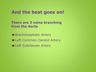 And the beat goes on!

There are 3 veins branching
from the Aorta

 Brachiocephalic Artery
 Left Common Carotid Artery
 Left Subclavian Artery
 
