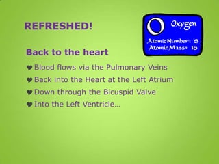 REFRESHED!

Back to the heart
 Blood flows via the Pulmonary Veins
 Back into the Heart at the Left Atrium
 Down through the Bicuspid Valve
 Into the Left Ventricle…
 