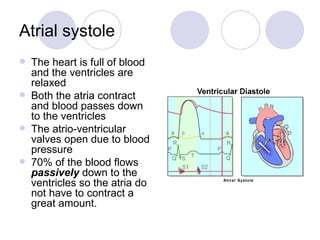 Atrial systole The heart is full of blood and the ventricles are relaxed Both the atria contract and blood passes down to the ventricles The atrio-ventricular valves open due to blood pressure 70% of the blood flows  passively  down to the ventricles so the atria do not have to contract a great amount. 