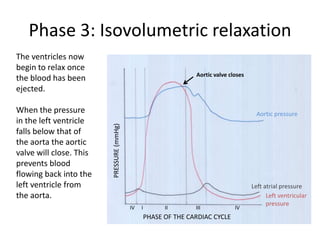 Phase 3: Isovolumetric relaxation
The ventricles now
begin to relax once
                                                                   Aortic valve closes
the blood has been
ejected.

When the pressure                                                                          Aortic pressure
in the left ventricle
                         PRESSURE (mmHg)

falls below that of
the aorta the aortic
valve will close. This
prevents blood
flowing back into the
left ventricle from                                                                      Left atrial pressure
the aorta.                                                                                     Left ventricular
                                                                                               pressure
                                                                                            Left ventricular
                                           IV   I         II       III            IV
                                                                                            pressure
                                                    PHASE OF THE CARDIAC CYCLE
 