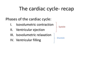 The cardiac cycle- recap
Phases of the cardiac cycle:
  I.     Isovolumetric contraction
                                      Systole
  II.    Ventricular ejection
  III.   Isovolumetric relaxation
                                     Diastole
  IV.    Ventricular filling
 