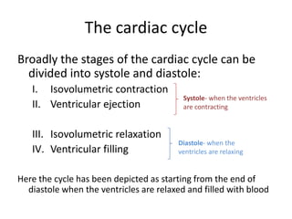 The cardiac cycle
Broadly the stages of the cardiac cycle can be
  divided into systole and diastole:
   I. Isovolumetric contraction
                                          Systole- when the ventricles
   II. Ventricular ejection               are contracting


   III. Isovolumetric relaxation
                                        Diastole- when the
   IV. Ventricular filling              ventricles are relaxing


Here the cycle has been depicted as starting from the end of
  diastole when the ventricles are relaxed and filled with blood
 