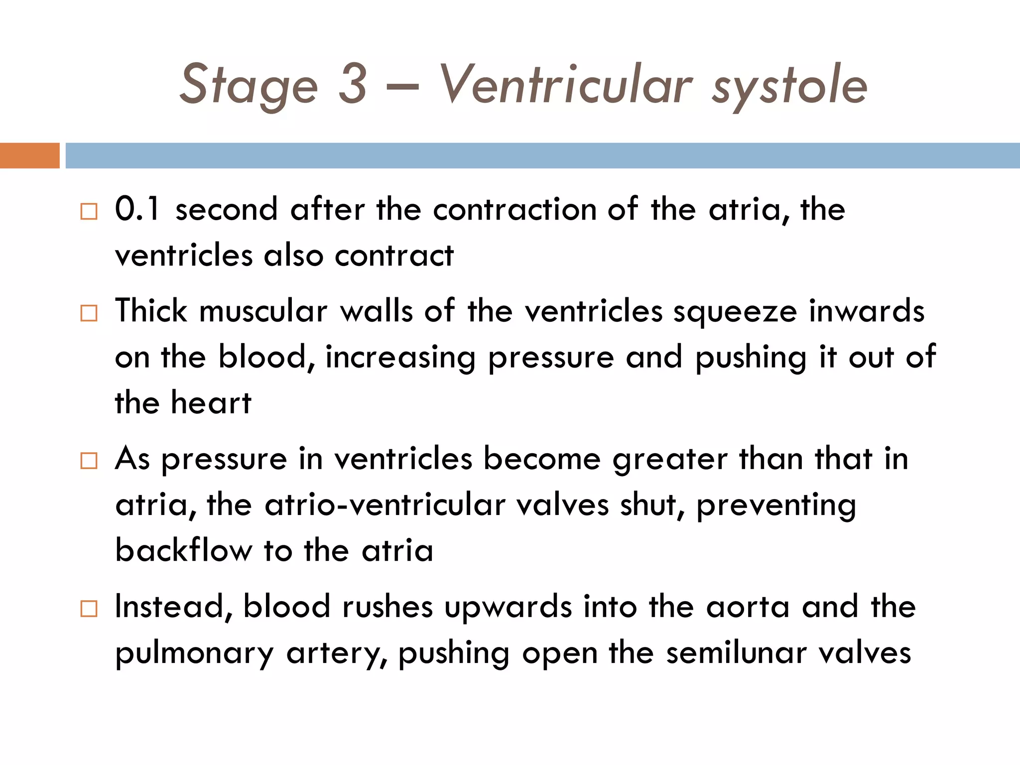 The Cardiac Cycle PPT