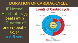 The cardiac cycle 9