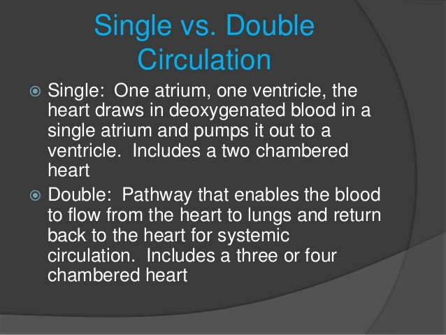 The cardiovascular system