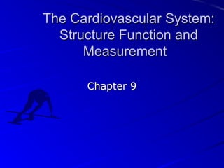 The Cardiovascular System:The Cardiovascular System:
Structure Function andStructure Function and
MeasurementMeasurement
Chapter 9Chapter 9
 