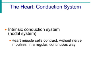 The cardiovascular system.pptx