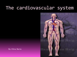 The cardiovascular system




 By: Vilma Barria
 