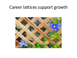 Career lattices support growth
 