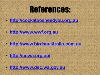 References:
• http://cockatoosneedyou.org.au

• http://www.wwf.org.au

• http://www.birdsaustralia.com.au

• http://ccwa.org.au/

• http://www.dec.wa.gov.au
 