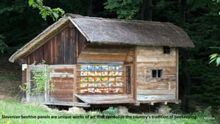 Slovenian beehive panels are unique works of art that symbolize the country’s tradition of beekeeping.
 