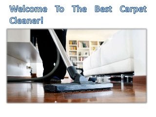 Dundee Carpet Cleaning- We Are Here Best Carpet Cleaner In The World!