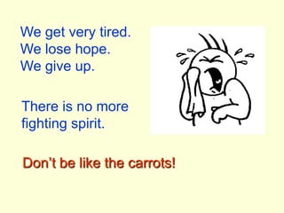We get very tired.We lose hope.We give up.There is no more fighting spirit.Don’t be like the carrots!