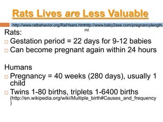 Rats Lives are Less Valuablehttp://www.ratbehavior.org/RatYears.htmhttp://www.baby2see.com/pregnancylength.htmlRats:Gestation period = 22 days for 9-12 babiesCan become pregnant again within 24 hoursHumansPregnancy = 40 weeks (280 days), usually 1 child Twins 1-80 births, triplets 1-6400 births (http://en.wikipedia.org/wiki/Multiple_birth#Causes_and_frequency)