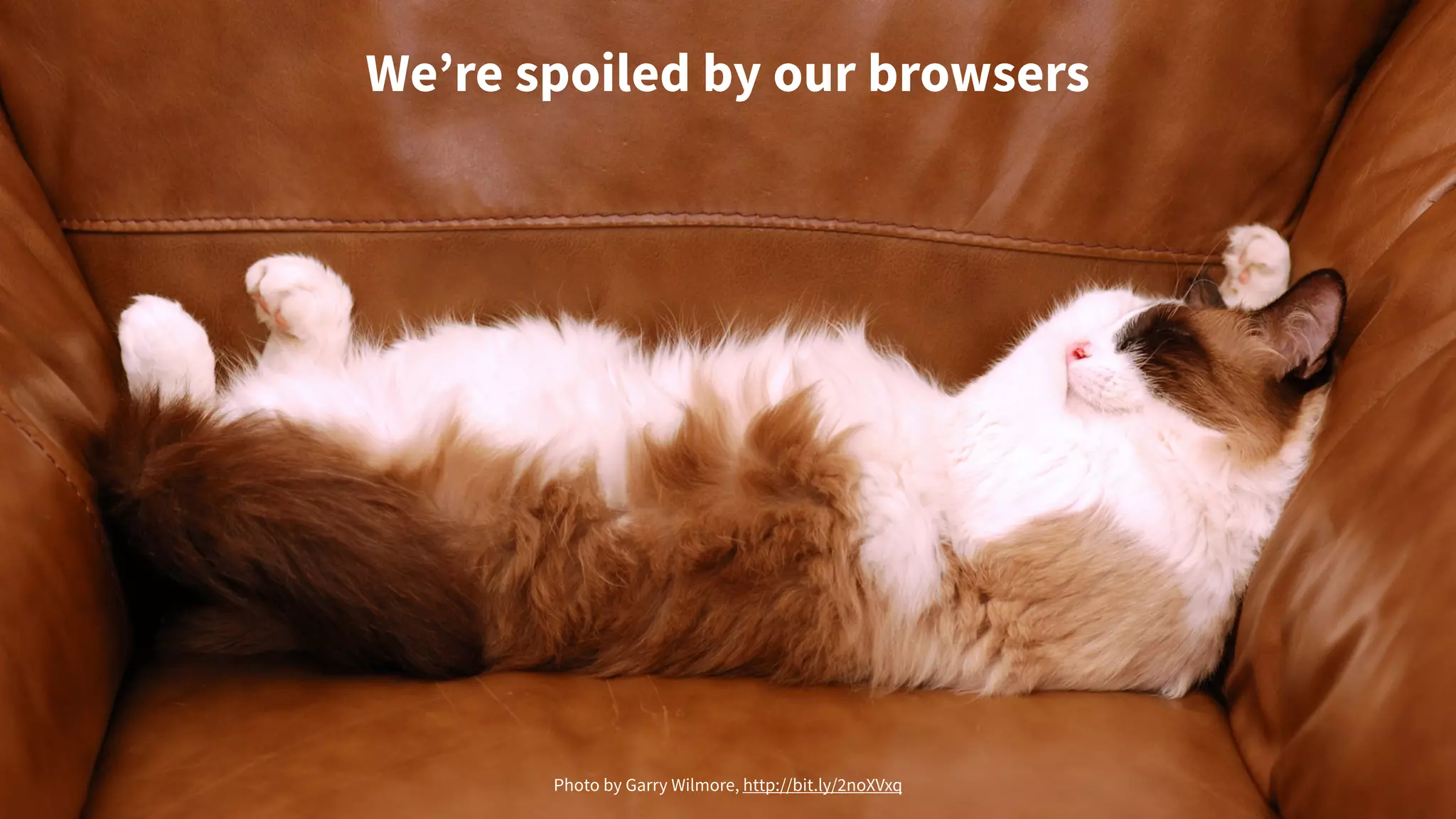 We’re spoiled by our browsers
Photo by Garry Wilmore, http://bit.ly/2noXVxq
 