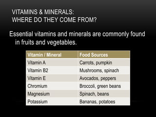 VITAMINS & MINERALS:
WHERE DO THEY COME FROM?
Essential vitamins and minerals are commonly found
in fruits and vegetables.
Vitamin / Mineral Food Sources
Vitamin A Carrots, pumpkin
Vitamin B2 Mushrooms, spinach
Vitamin E Avocados, peppers
Chromium Broccoli, green beans
Magnesium Spinach, beans
Potassium Bananas, potatoes
 