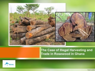 The Case of Illegal Harvesting and
Trade in Rosewood in Ghana
 