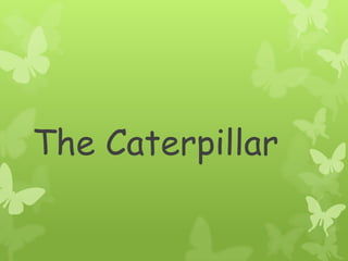The Caterpillar
 