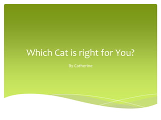 Which Cat is right for You?
          By Catherine
 