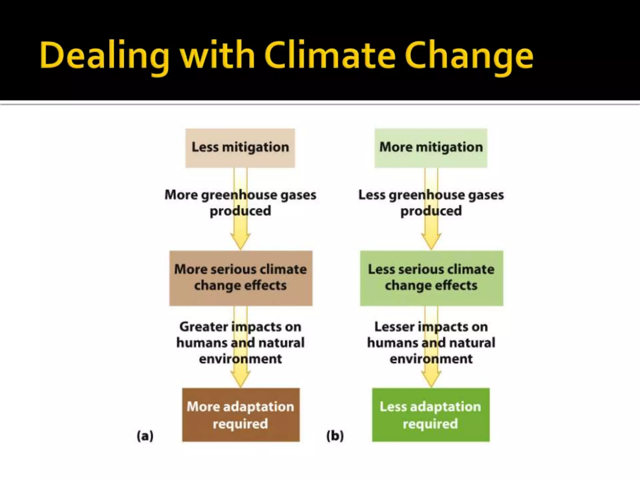 The causes and effects of climate change | PPTX