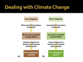 The causes and effects of climate change | PPTX