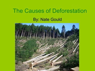 The Causes of Deforestation By: Nate Gould 