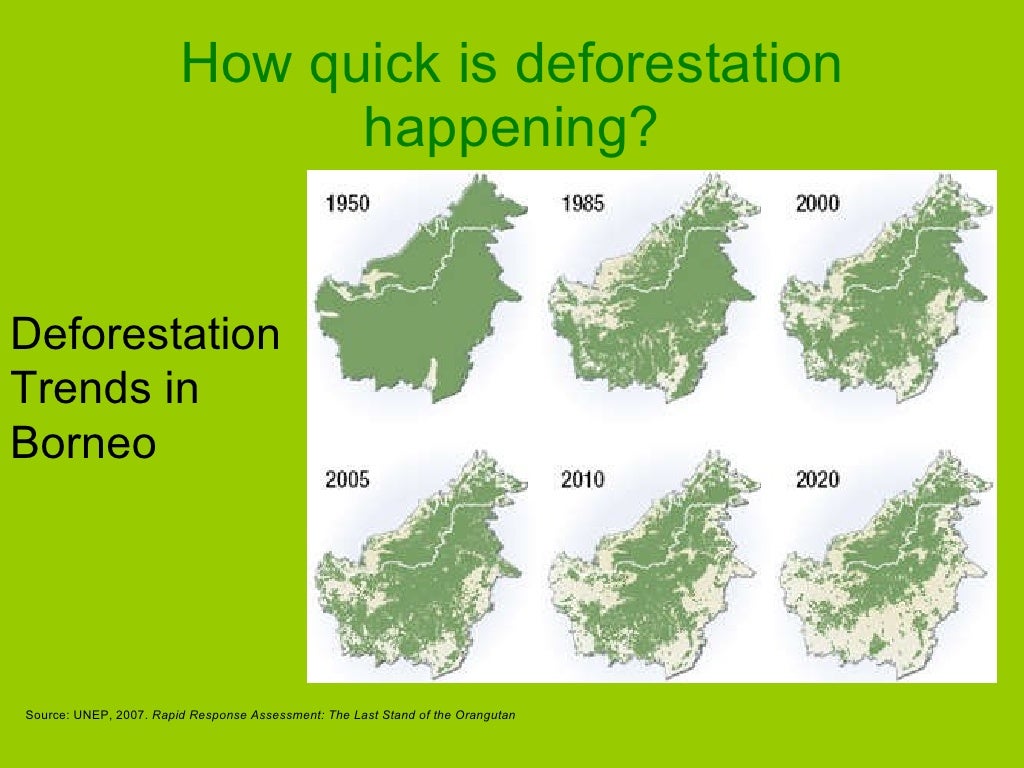 The Causes Of Deforestation